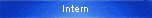 Intern