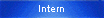 Intern