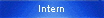 Intern